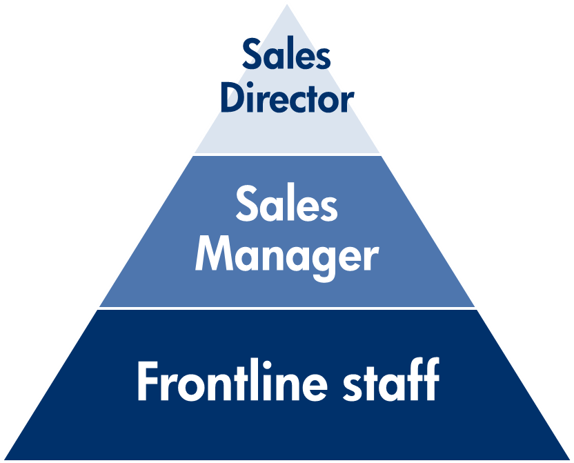 sales team model